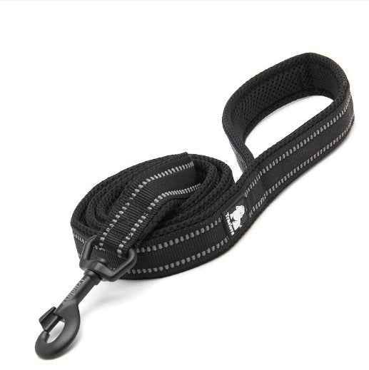 True Love Nylon Hundeleine (Kopie) (Kopie)