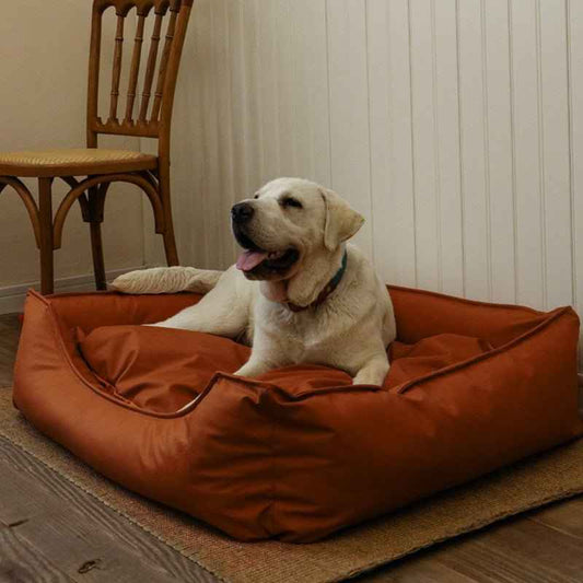 Wasserabweisendes und kühlendes Lederbett für Hunde