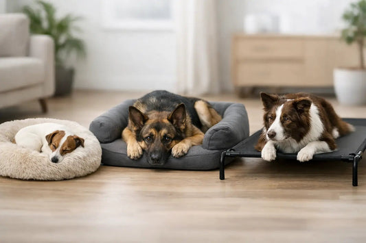 Welcher Liegeplatz für unruhige Hunde passt? - Lucky Dog Shop
