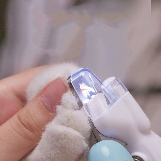 Tipps & Tricks zur Krallenpflege beim Hund - Lucky Dog Shop