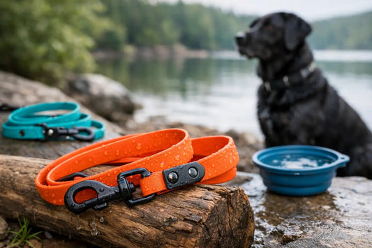 Wasserfeste Hundeleine kaufen leicht gemacht - Lucky Dog Shop