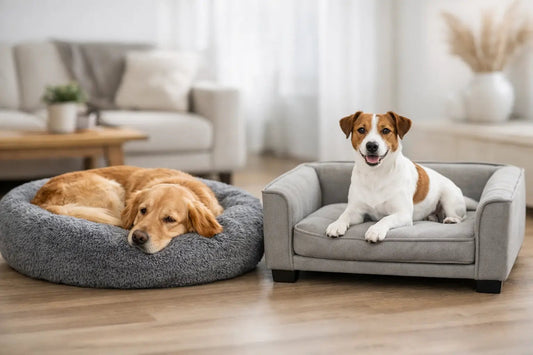 Rundbett oder Hundesofa wählen - was passt? - Lucky Dog Shop