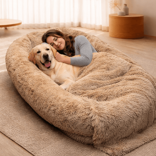 Das perfekte Hundebett für die ganze Familie - Lucky Dog Shop