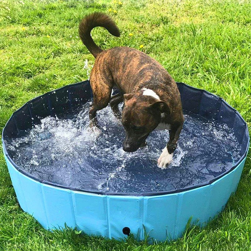 Faltbarer Hundepool - Swimmingpool Hundebad Ø80/100/120cm - Lucky Dog Shop