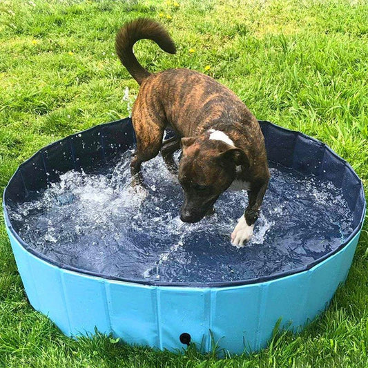 Faltbarer Hundepool - Swimmingpool Hundebad Ø80/100/120cm - Lucky Dog Shop