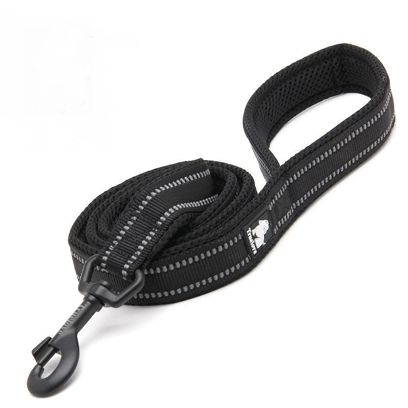 True Love Nylon Hundeleine - Lucky Dog Shop