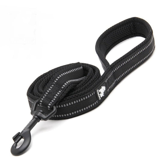 True Love Nylon Hundeleine - Lucky Dog Shop