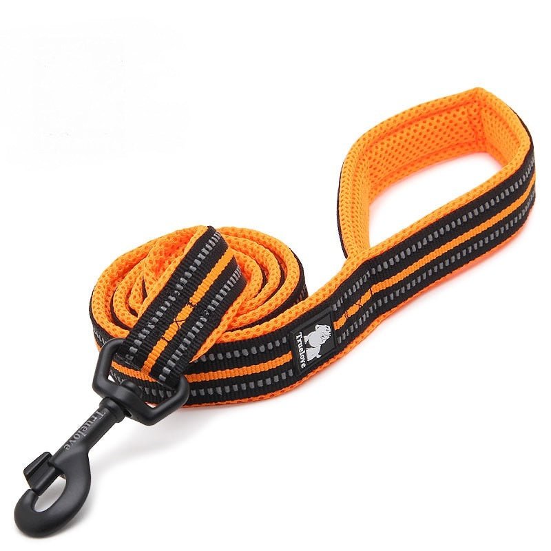 True Love Nylon Hundeleine - Lucky Dog Shop