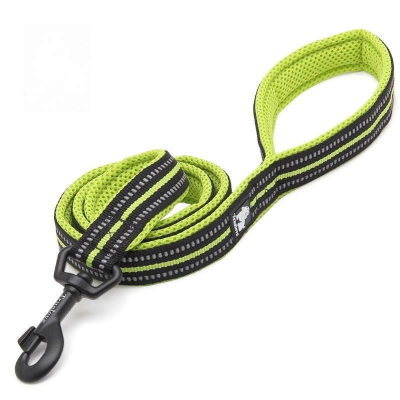 True Love Nylon Hundeleine - Lucky Dog Shop