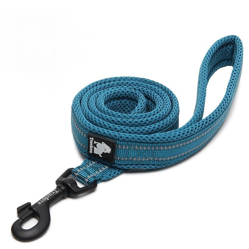 True Love Nylon Hundeleine - Lucky Dog Shop