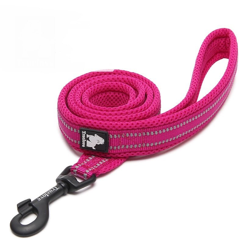 True Love Nylon Hundeleine - Lucky Dog Shop