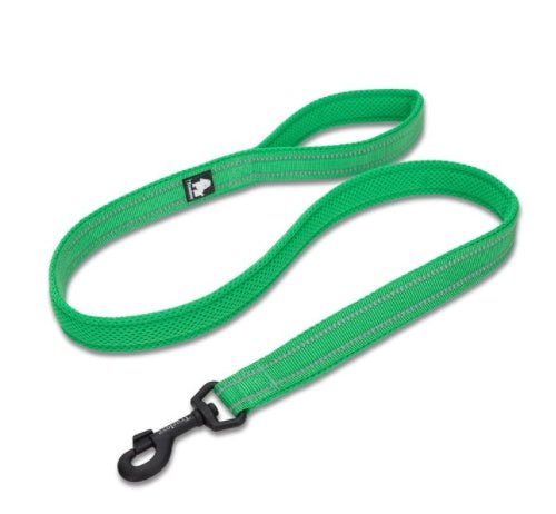 True Love Nylon Hundeleine - Lucky Dog Shop