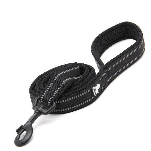 True Love Nylon Hundeleine - Lucky Dog Shop
