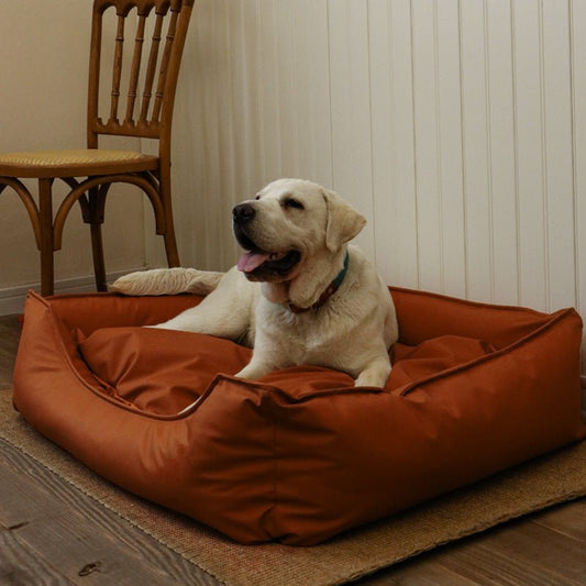Wasserabweisendes und kühlendes Lederbett für Hunde - Lucky Dog Shop