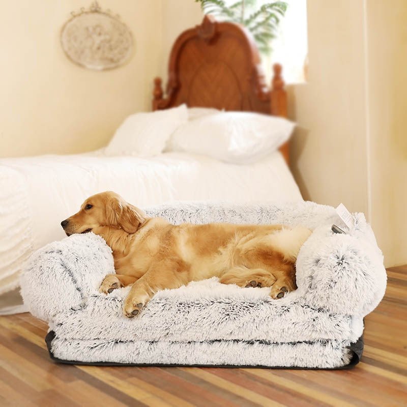 Familien - Hundebett für Kinder u. Erwachsene, 2 - in - 1, faltbares XL - Hundebett für Menschen und Hund - Lucky Dog Shop