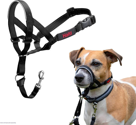 HALTI Kopfgeschirr - Verhindert, dass Ihr Hund an der Leine zieht, Einfache Anpassung, Leicht, mit gepolstertem Nasenriemen, Anti - Zug - Halsband für kleine Hunde (Größe 0, Schwarz) - Lucky Dog Shop