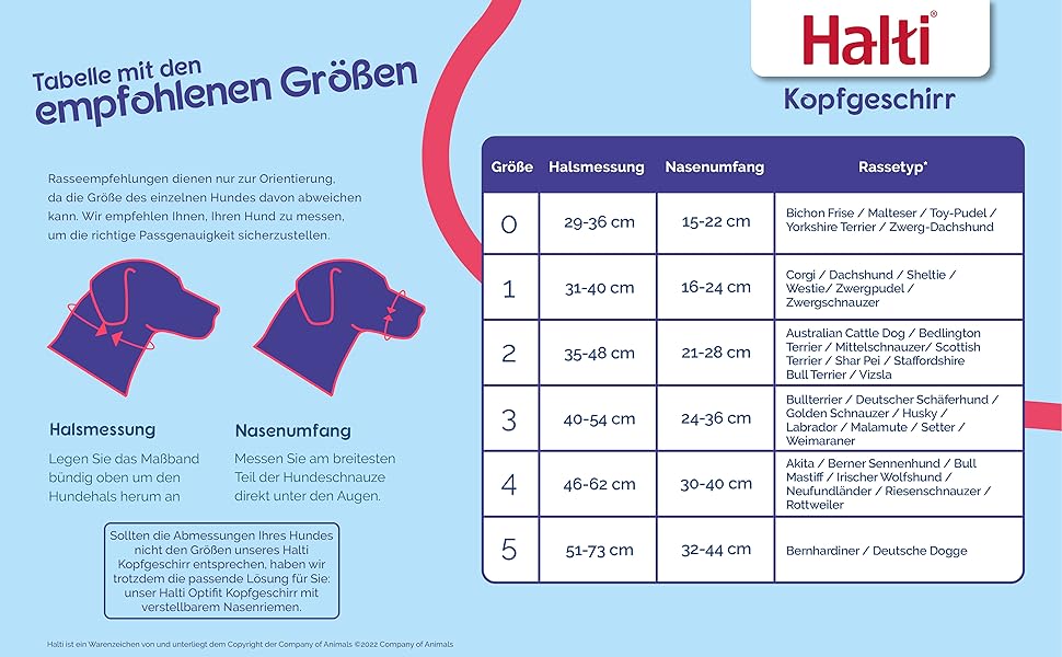 HALTI Kopfgeschirr - Verhindert, dass Ihr Hund an der Leine zieht, Einfache Anpassung, Leicht, mit gepolstertem Nasenriemen, Anti - Zug - Halsband für kleine Hunde (Größe 0, Schwarz) - Lucky Dog Shop