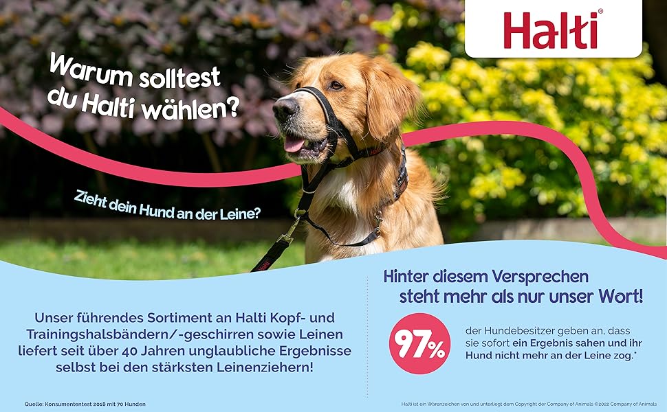 HALTI Kopfgeschirr - Verhindert, dass Ihr Hund an der Leine zieht, Einfache Anpassung, Leicht, mit gepolstertem Nasenriemen, Anti - Zug - Halsband für kleine Hunde (Größe 0, Schwarz) - Lucky Dog Shop