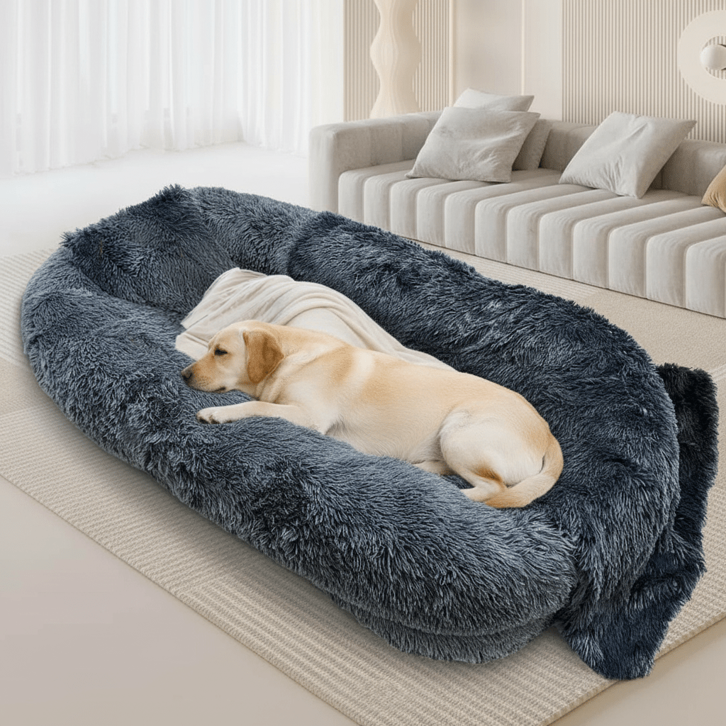 Familien-Hundebett für Hunde und Menschen, Hundebett XXL, Plüschbett waschbar