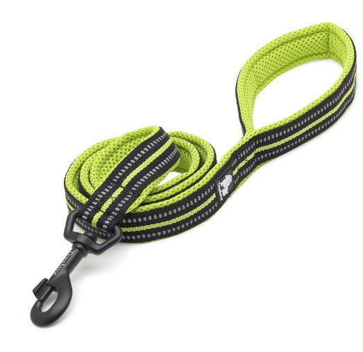 True Love Nylon Hundeleine - Lucky Dog Shop