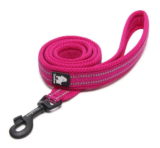 True Love Nylon Hundeleine - Lucky Dog Shop