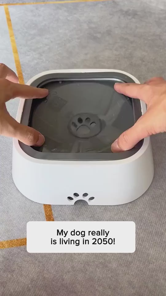1.mp4